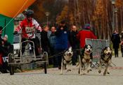 Jana_Zemcakova_Pruszcz_Gdanski_2010
